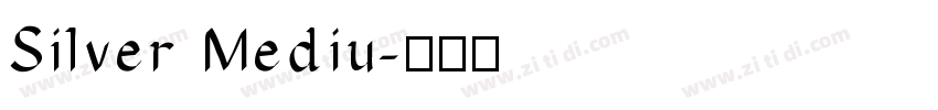 Silver Mediu字体转换